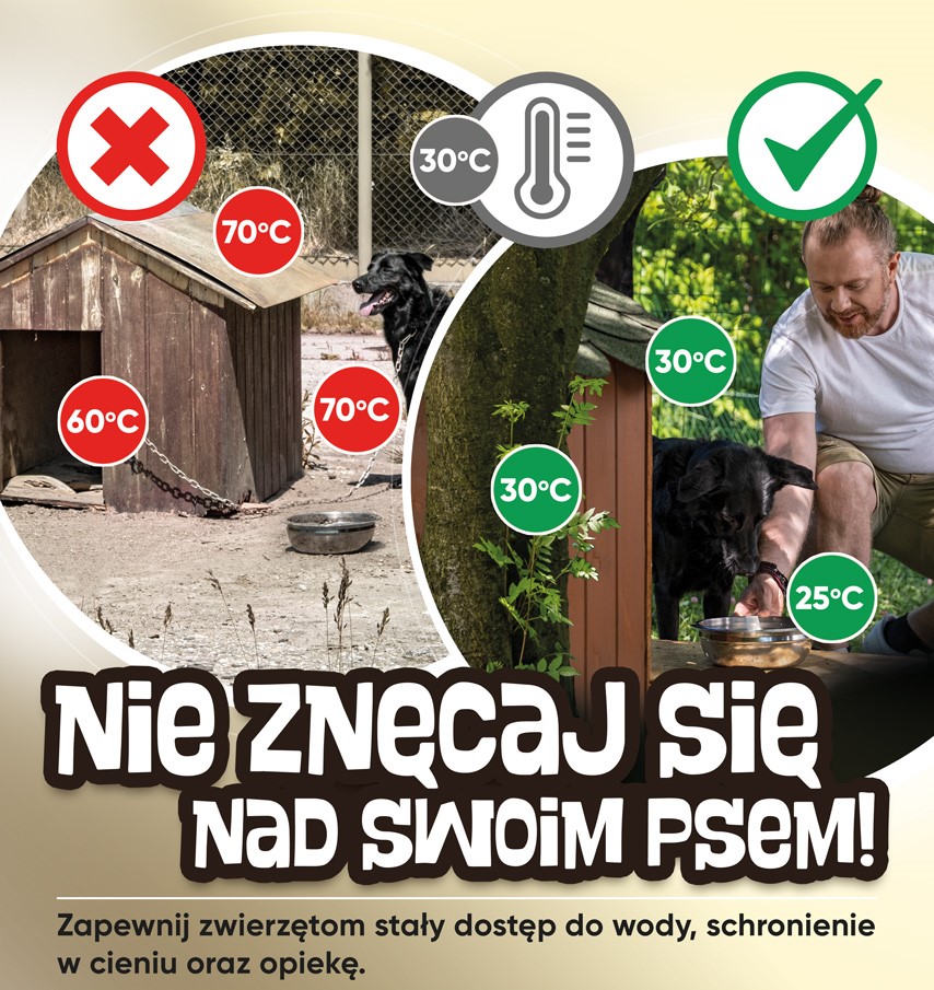 PIES CZUJE TAK JAK TY
