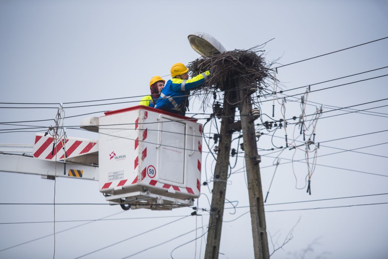 słup energetyczny, dwóch pracowników, bocianie gniazdo