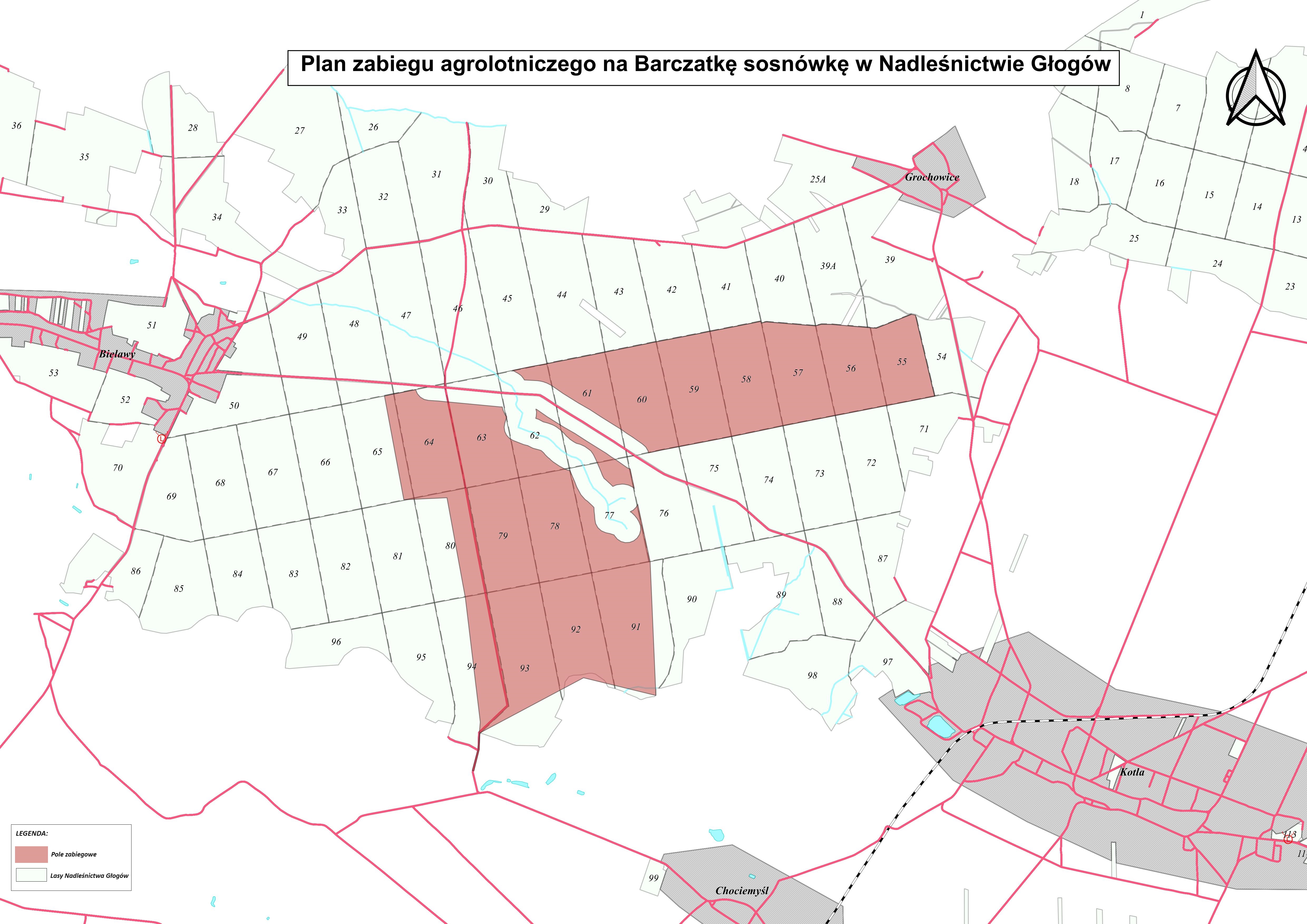 mapa_pole_zabiegowe_2024_2