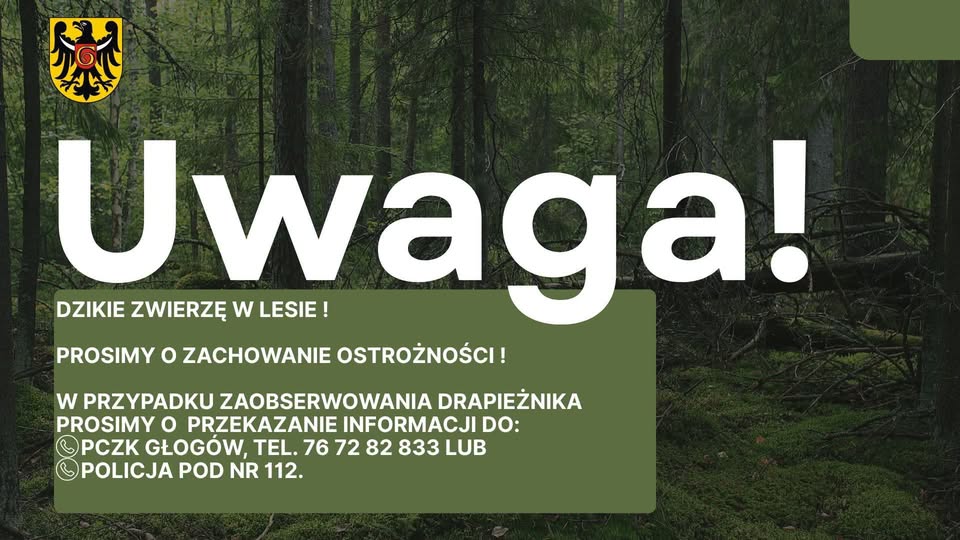 UWAGA! WAŻNA INFORMACJA STAROSTWA POWIATOWEGO W GŁOGOWIE