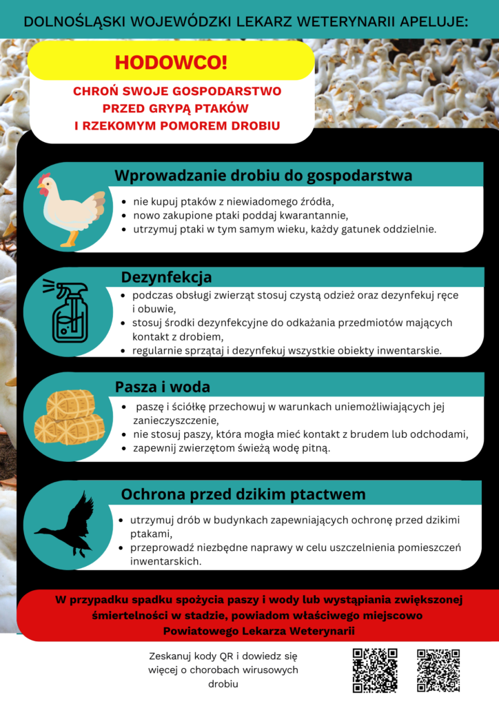 RZEKOMY POMÓR DROBIU