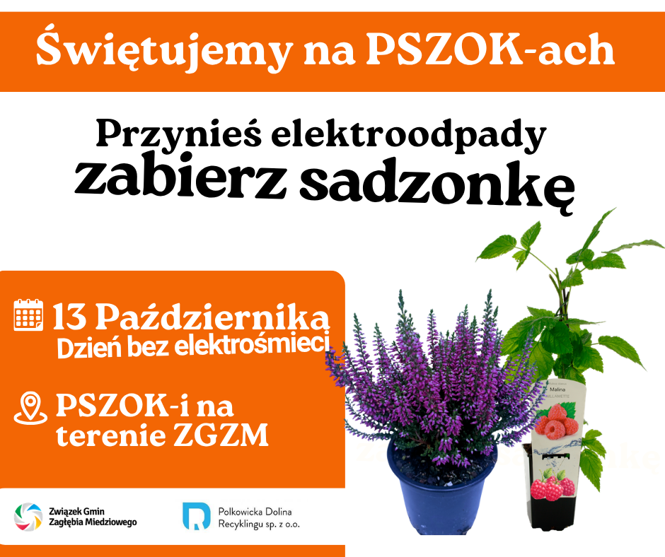 Już 13 października obchodzimy Dzień Bez Elektrośmieci!