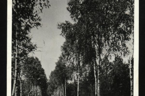 glogowko-1-1087F30E6E21-B488-CA45-2D31-FFD762D7D056.jpg