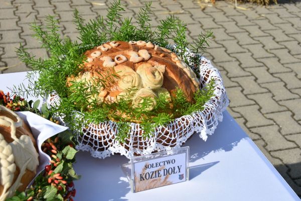 dsc-3578862C9BD8-D22B-2071-C4DD-499CC6274503.jpg
