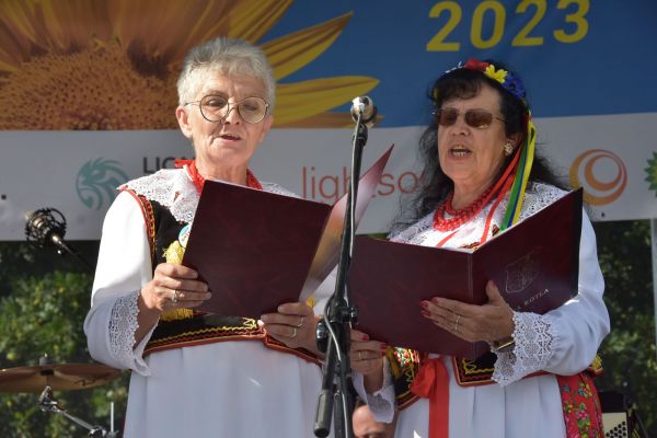 dsc-386793EE2B10-01E6-AC7F-6630-D0D2482028CC.jpg