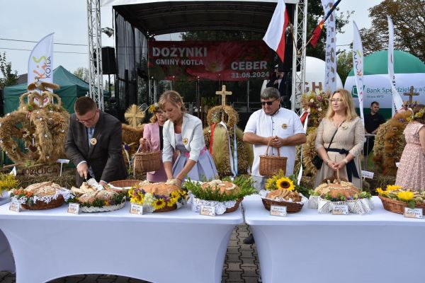 dsc-86884D232059-D816-6C79-48B1-169738A15DD8.jpg