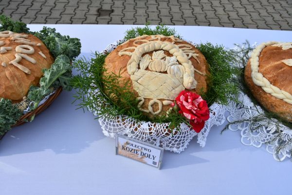 dsc-8748DF2FCB89-81D7-4962-6A00-D3EF85863AED.jpg