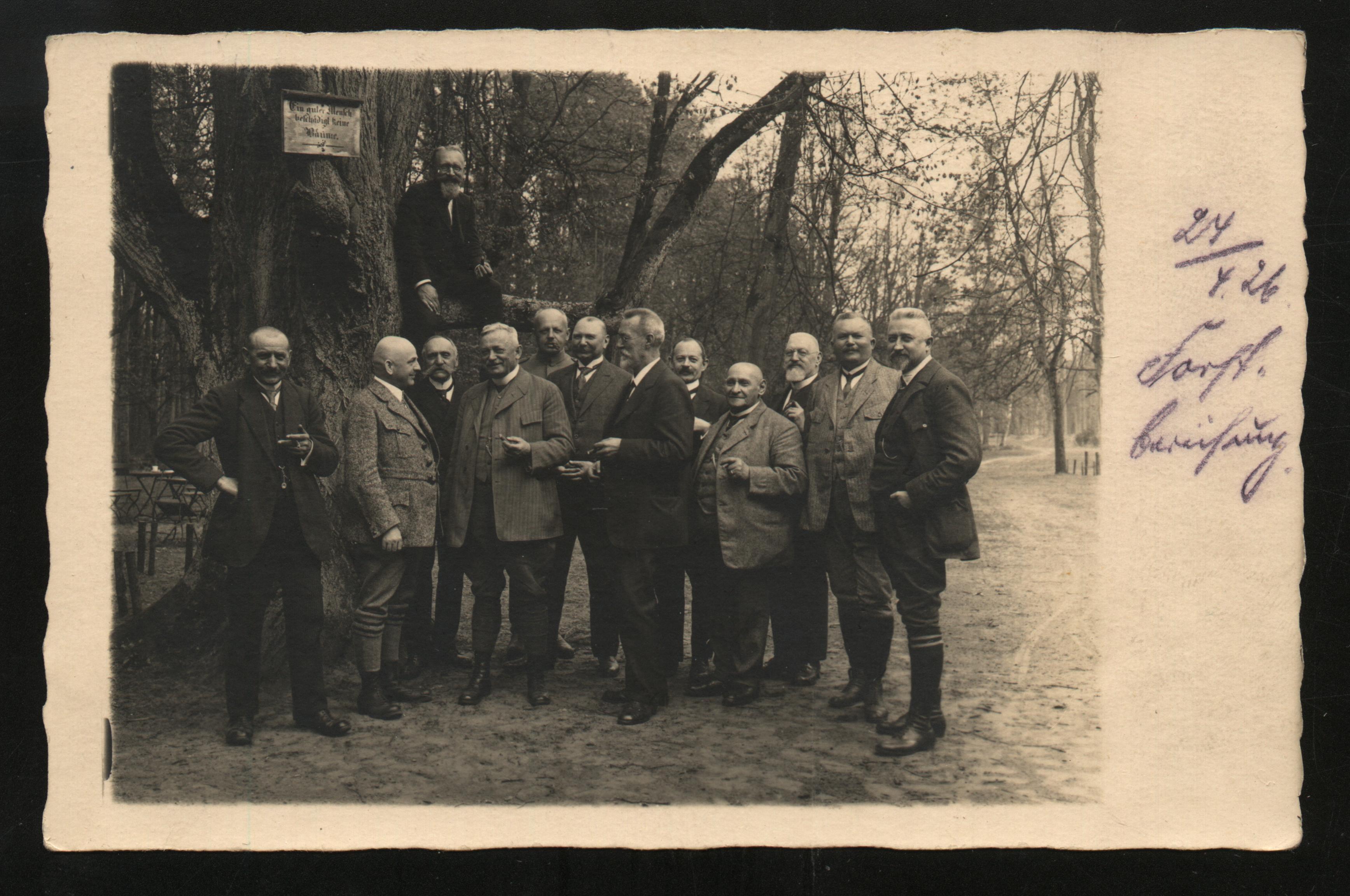 glogowski-las-miejski-2