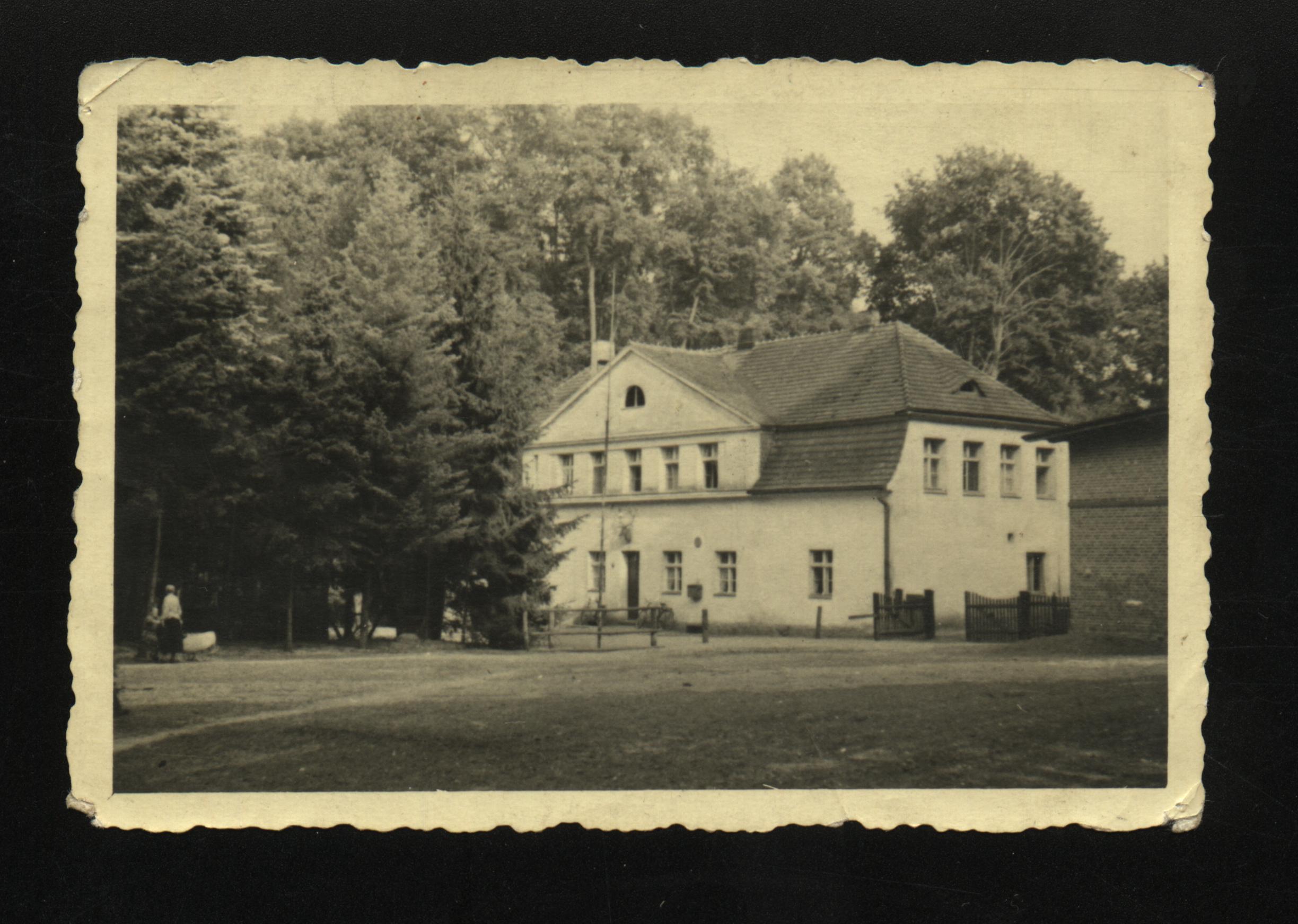lesna-dolina-2
