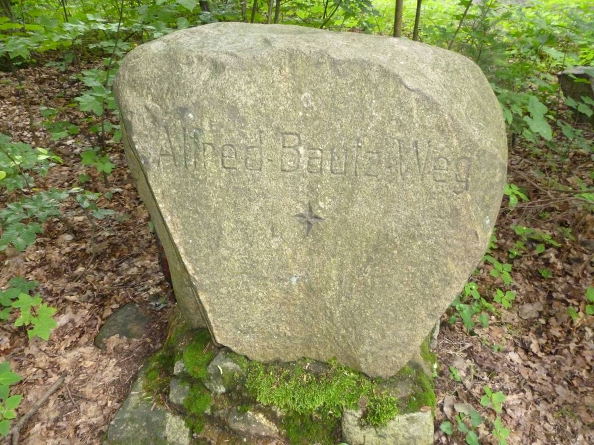 lesna-dolina-3