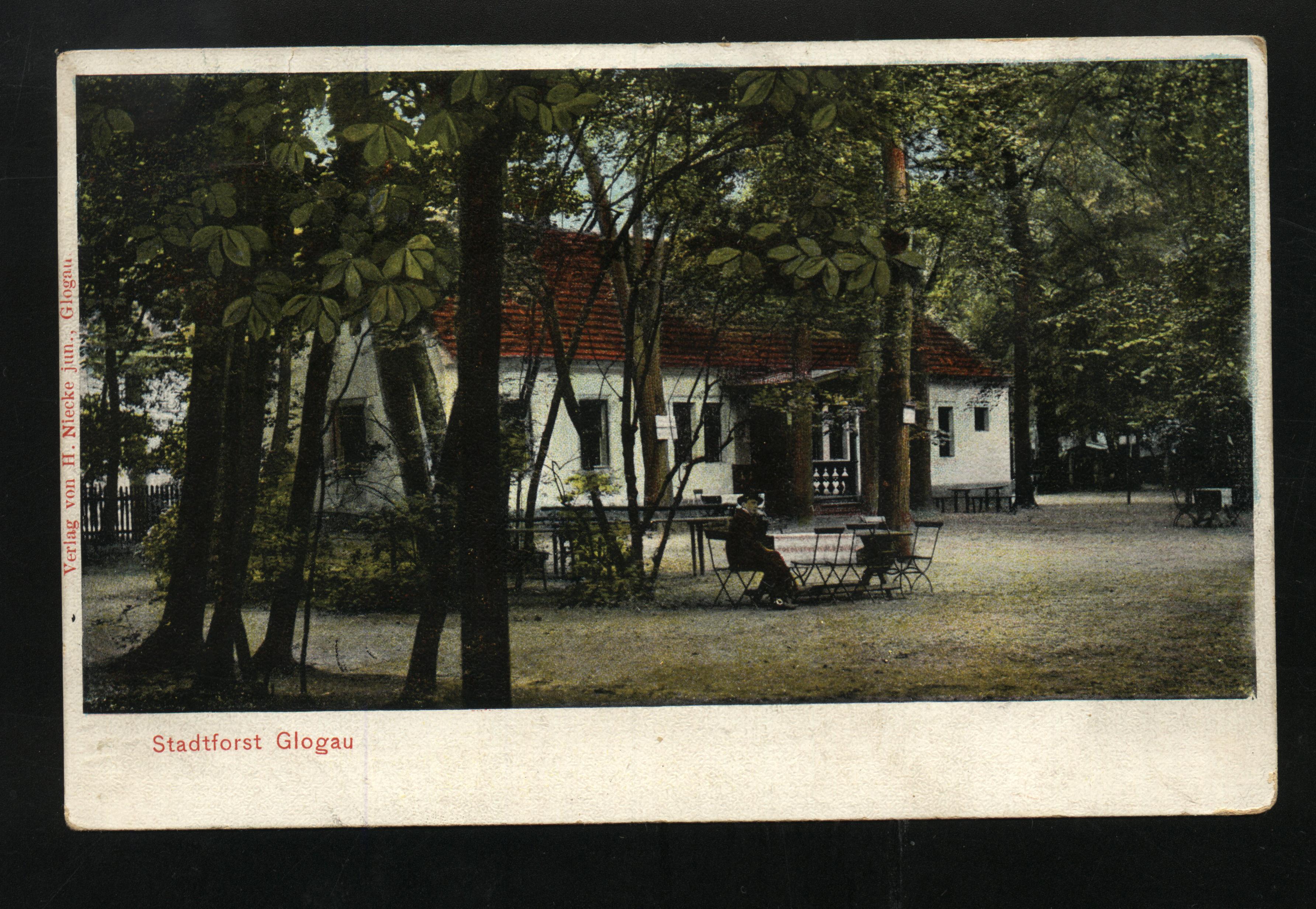 lesna-dolina1