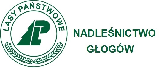 nadlesnictwo-glogow-1