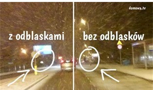 obraz1